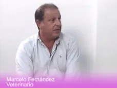 TV: 