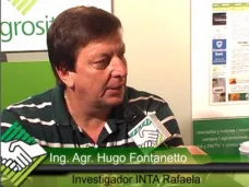 TV: ¿Cómo están los niveles de Zinc en sus lotes de Soja y Maíz?; con Ing. Hugo Fontanetto - INTA Rafaela