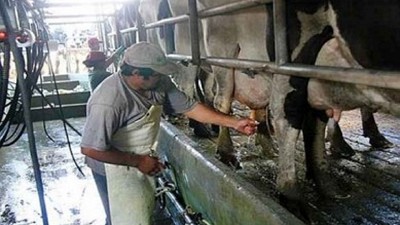 Mercoláctea 2016, con nuevo predio