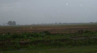 Las últimas lluvias beneficiaron los cultivos del centro oeste de Chaco
