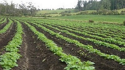 Busso recorrió campos del norte provincial