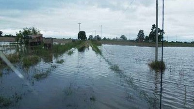 Entre Ríos decretó la emergencia agropecuaria en la provincia