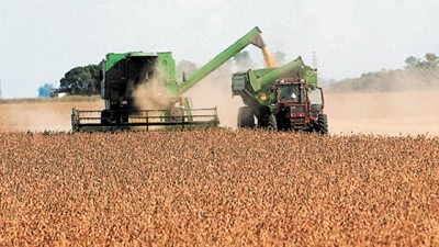 Perspectivas para lo inmediato en los precios de la soja, por Manuel Alvarado Ledesma - Agrositio