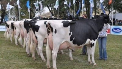 El Senasa analizó cómo potenciar el crecimiento del sector lácteo