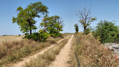 Radio: Aún falta agua en el corazón de la zona núcleo; con Germán Heinzenknecht