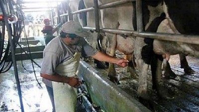 El problema no es el stock, sino la falta de transparencia