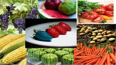 Entre 1996 y 2015 se sembraron dos mil millones de Hás con cultivos transgénicos
