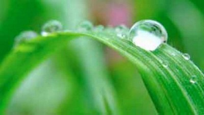 Últimos registros de lluvias del Litoral. Se prevé más agua durante el fin de semana