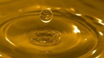 Pasado y oportunidades futuras para los biocombustibles de Argentina