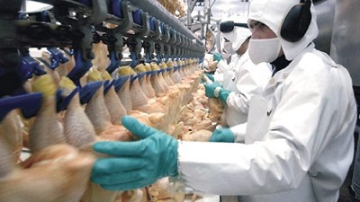 Un antibiótico 