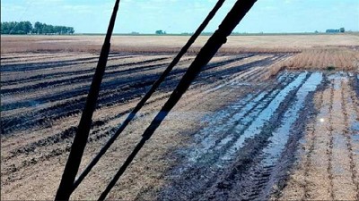 La cadena de la soja pide medidas extraordinarias por las lluvias