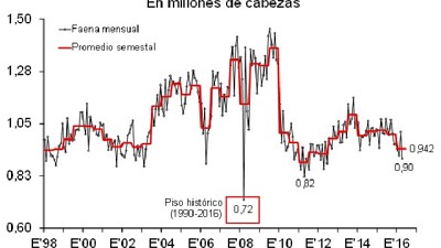 CICCRA: En los primeros meses del año la producción de carne vacuna cayó 5,6%