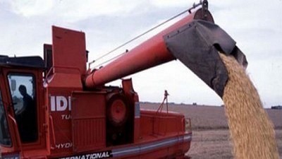 A la fecha el rendimiento promedio nacional para la Soja se ubica en 33,6 qq/Ha