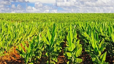 Agro: Córdoba fue sede de la Comisión Regional Pampeana