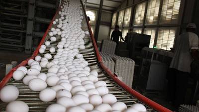 Productores de huevo dicen que ya se licuó el efecto de la devaluación