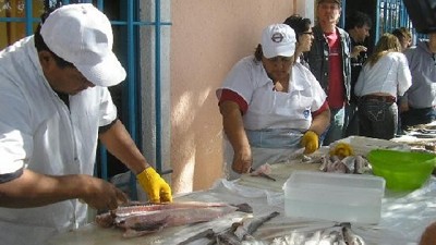 Aprueban financiamiento para cursos de formación profesional y técnica en procesamiento de pescado