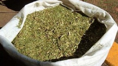 IG Yerba Mate Argentina, este viernes en La Rural