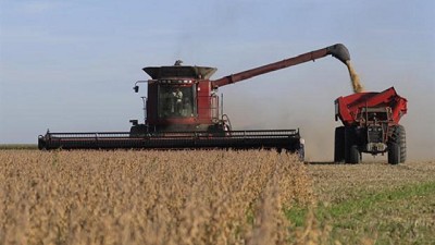 La soja se derrumbó 4% en Chicago y marcó su nuevo mínimo en tres meses