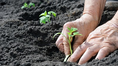Proponen estimular con premios a quienes realicen buenas prácticas agropecuarias  