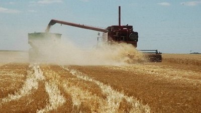 Subió el costo del alquiler agrícola en Córdoba