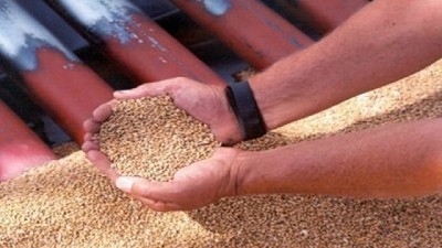 Fuertes críticas de la industria semillera a Agroindustria