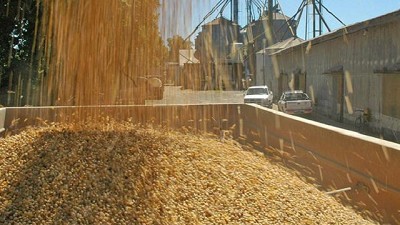 Algo más que un puñado de dólares