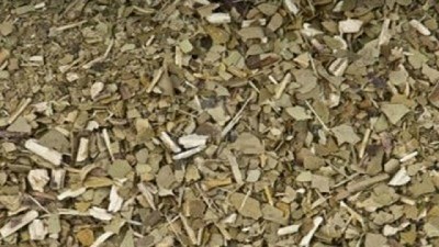 Programas de apoyo, riego, fertilización e innovación, en la Jornada Tecnológica de la Yerba Mate 