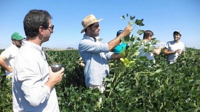 Aapresid cruzó la frontera y la siembra directa se expande