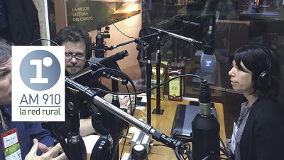 Radio: 