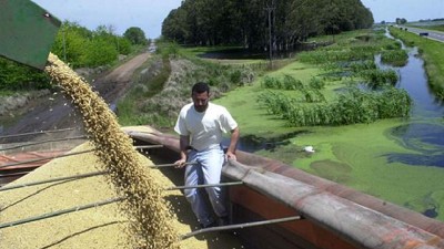 Un paliativo del USDA les posibilitó un cierre alcista a los granos en Chicago