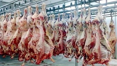 El Feedlot, un sector que busca herramientas para crecer y agregar valor