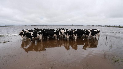 Son récord las lluvias de octubre en la región