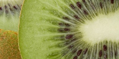 Chile: ASOEX critica a Zespri por prácticas contra la libre competencia