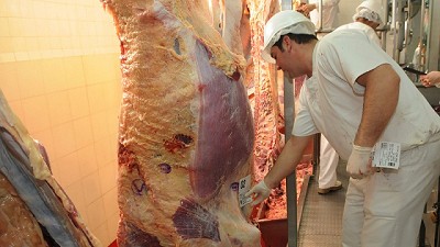 Importantes avances para el comercio de carne vacuna