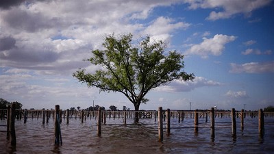 En General Villegas, el drama de la inundación va del campo a la ciudad