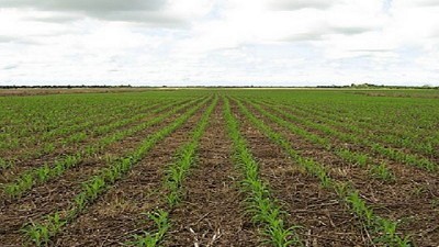 Se atrasa más la siembra en el campo por la falta de lluvia