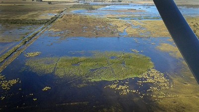 En el sudeste de Córdoba hay campos bajo el agua y recrudecen las críticas por la falta de obras