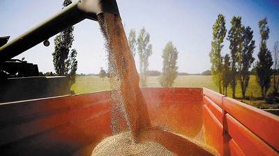 El campo versión 2017, por Salvador Di Stefano