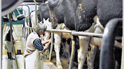  El agua golpea el corazón de la cuenca lechera de Córdoba