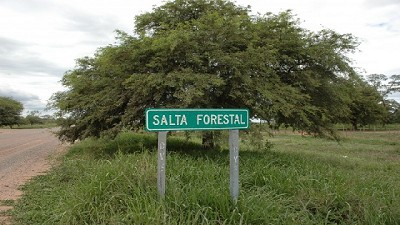 Salta recuperó más de 80.000 hectáreas