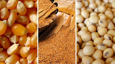 Informe de mercados agrícolas de enero de 2017 de la Bolsa de Córdoba
