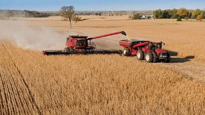 El trigo se destacó por los altos rindes y la calidad industrial