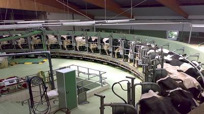 Estados Unidos registra un aumento de las exportaciones de ingredientes lácteos en 2016