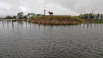 Se declaró la emergencia agropecuaria en la Provincia de Santa Fe