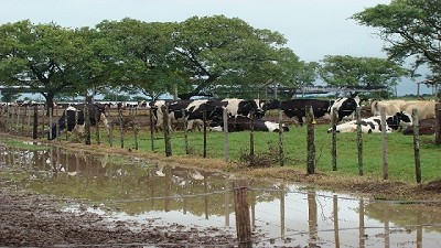 Santa Fe: créditos a tasas bajas para tamberos en emergencia hídrica