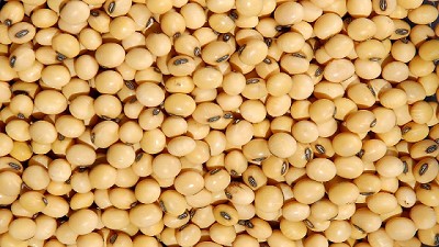 El poroto de soja fue lo más exportado a China en el 2016