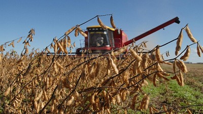 Afirman que por el atraso cambiario podría demorarse la venta de la próxima cosecha de soja