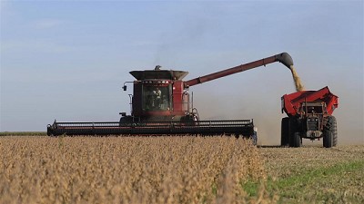 Una ola de rumores sobre el biodiésel sacudió los precios en Chicago