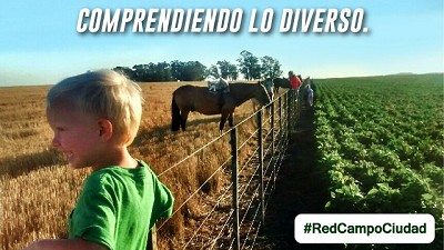 Radio: 
