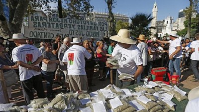 Fuerte reclamo de los productores de yerba